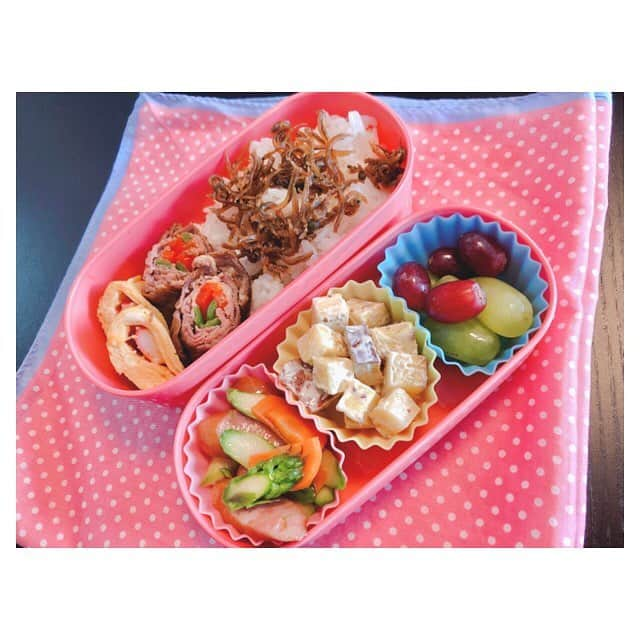 早乙女わかばさんのインスタグラム写真 - (早乙女わかばInstagram)「.﻿ 🔰マークのお弁当🍱﻿ ﻿ コツコツとやっておりますー🍳💦﻿ ﻿ 前日にメニュー考えて…イメージして…﻿ 時間内に作って…盛り付けて…﻿ ﻿ もーぅ大変！！！！﻿ 世のお母さん方！！尊敬です！！﻿ ﻿ まだ手際が良くないので毎度、大戦争です😭﻿ ﻿ 味付けもまだまだ納得がいかないので日々精進です🤦🏻‍♀️💦﻿ どうしても味が濃くなるんですよね…😣﻿ ﻿ でも‼️﻿ 〝継続は力なり〟﻿ と以前コメントで頂きましたので、コツコツ続けていきたいと思います✊🏻✨﻿ ﻿﻿ 令和！30歳！は料理できる女子を目指したいと思います😂﻿﻿ ﻿﻿ ブログにメニュー載せてます🍳﻿﻿ アドバイスどしどしお待ちしてます🙇🏻‍♀️﻿﻿ ﻿ 写真も統一感出して撮れるようになりたいなぁ🤔﻿ ﻿﻿ #お弁当﻿﻿ #初心者﻿﻿ #🔰マーク﻿﻿ #料理できる女子になりたい #わかばマークcooking」5月4日 22時43分 - s_wakaba.94