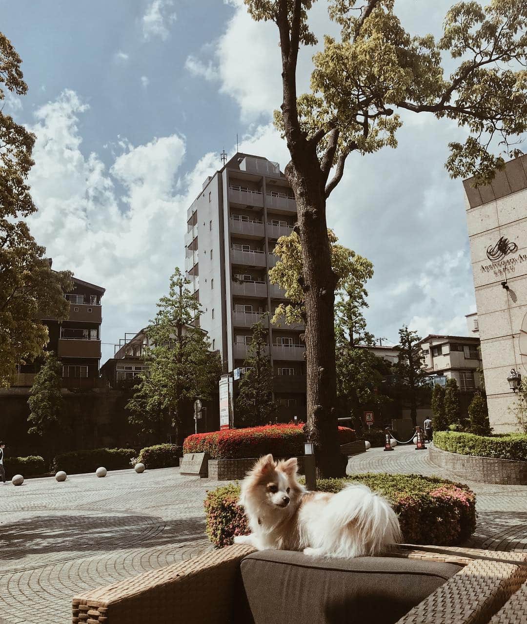 佐藤あずみのグルメインスタ