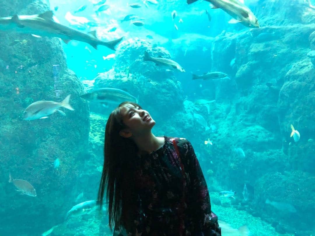 飯窪春菜のインスタグラム：「新江ノ島水族館🐠続き  #新江ノ島水族館  #ラストはご愛嬌 🤤 #はるなの毎日  #飯窪ってる」