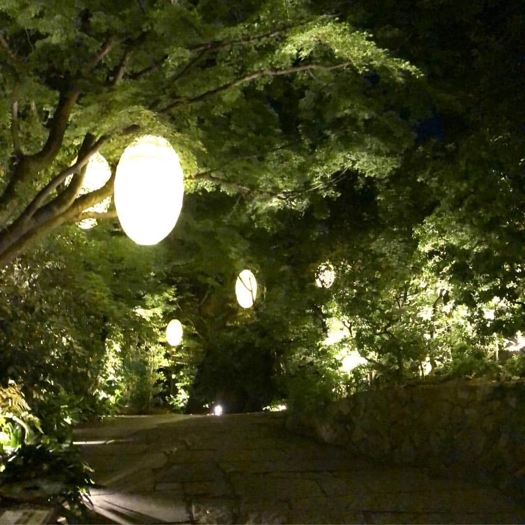 吉原珠央さんのインスタグラム写真 - (吉原珠央Instagram)「夜の京都♫ ディナーは @kyoto_thesodoh  雰囲気があるのに、子連れでも食事しやすく大人も子供も♡ ピアスは @puratokyo のWフープのお気に入りです♫→さいごの画像  #夜の京都 #京都 #京都旅行 #ディナー #やはりこちらのレストラン #夜の散歩 #キッズプレート #ピアス」5月4日 22時54分 - tamaoyoshihara