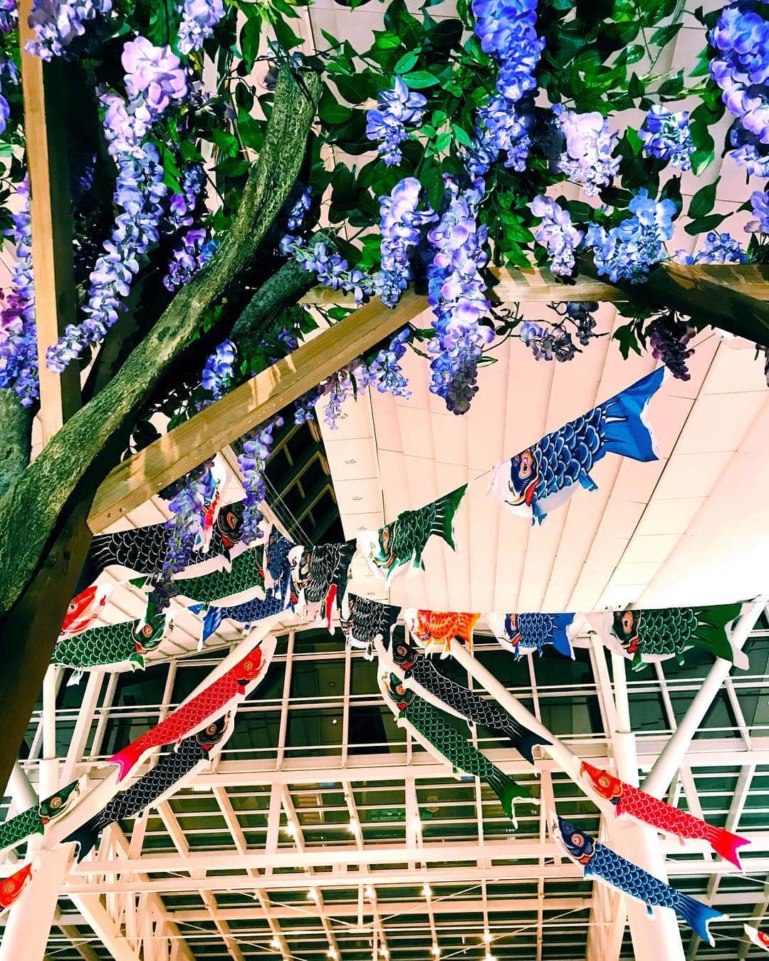 岡本杏理さんのインスタグラム写真 - (岡本杏理Instagram)「そんな季節🎏 #羽田空港国際線ターミナル」5月4日 23時09分 - anri_okamoto