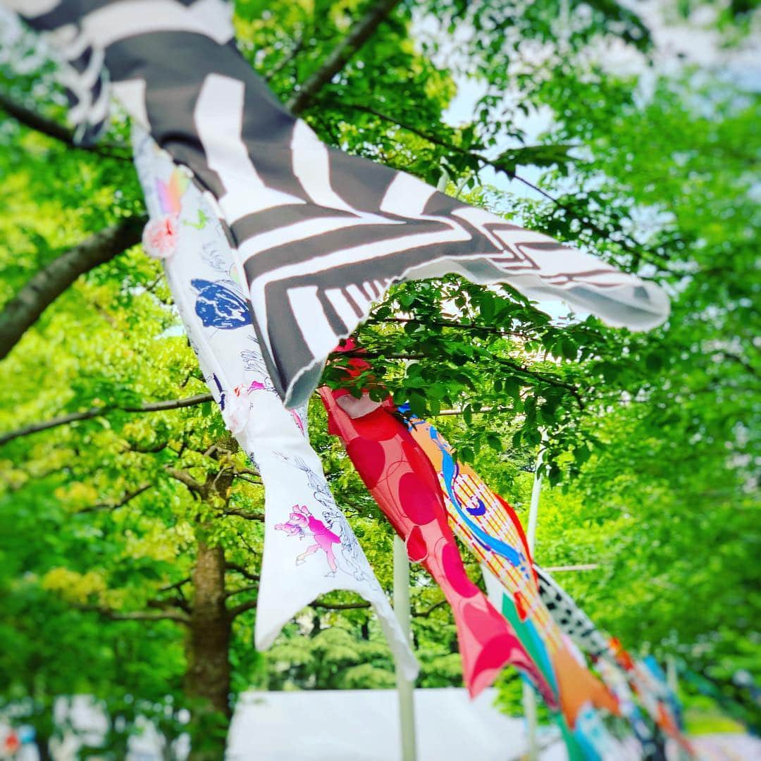 透水さらさのインスタグラム：「こどもの日🎏色んな柄の🎏 #こどもの日#鯉のぼり」