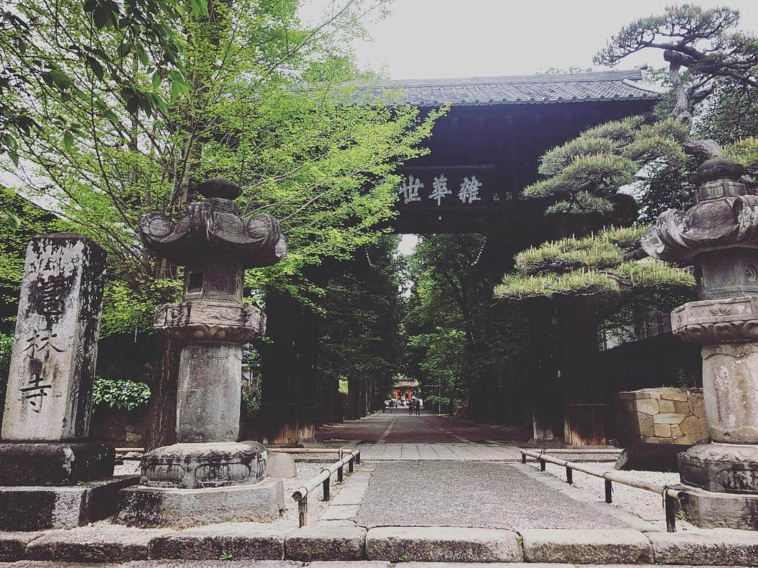 尾崎愛さんのインスタグラム写真 - (尾崎愛Instagram)「武田信玄公の菩提寺、恵林寺。扁額にある「雑華世界」(読み仮名 ざかせかい？諸説あり)、「この門より外は複雑世界、内は静寂の世界」といった意味だとか。 雨の庭園もなかなか風情がありました☔️ また御朱印帳を忘れ新たに購入😅 #恵林寺 #塩山 #山梨 #寺 #参拝 #お参り #武田信玄 #風林火山 #御朱印 #御朱印帳 #令和 #旅行 #観光 #庭園 #和 #japan #temple #trip #travel #yamanashi #photooftheday」5月5日 8時48分 - aiozaki0422