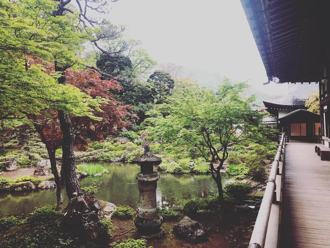 尾崎愛さんのインスタグラム写真 - (尾崎愛Instagram)「武田信玄公の菩提寺、恵林寺。扁額にある「雑華世界」(読み仮名 ざかせかい？諸説あり)、「この門より外は複雑世界、内は静寂の世界」といった意味だとか。 雨の庭園もなかなか風情がありました☔️ また御朱印帳を忘れ新たに購入😅 #恵林寺 #塩山 #山梨 #寺 #参拝 #お参り #武田信玄 #風林火山 #御朱印 #御朱印帳 #令和 #旅行 #観光 #庭園 #和 #japan #temple #trip #travel #yamanashi #photooftheday」5月5日 8時48分 - aiozaki0422