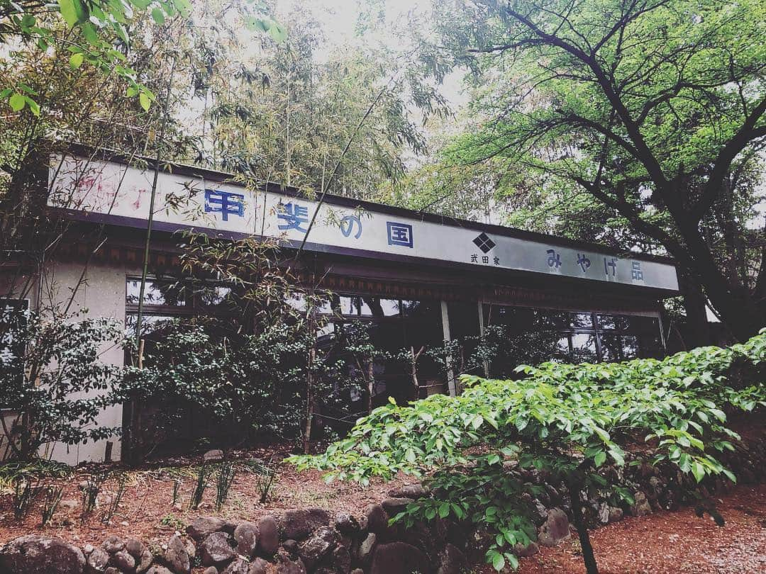 尾崎愛さんのインスタグラム写真 - (尾崎愛Instagram)「武田信玄公の菩提寺、恵林寺。扁額にある「雑華世界」(読み仮名 ざかせかい？諸説あり)、「この門より外は複雑世界、内は静寂の世界」といった意味だとか。 雨の庭園もなかなか風情がありました☔️ また御朱印帳を忘れ新たに購入😅 #恵林寺 #塩山 #山梨 #寺 #参拝 #お参り #武田信玄 #風林火山 #御朱印 #御朱印帳 #令和 #旅行 #観光 #庭園 #和 #japan #temple #trip #travel #yamanashi #photooftheday」5月5日 8時48分 - aiozaki0422