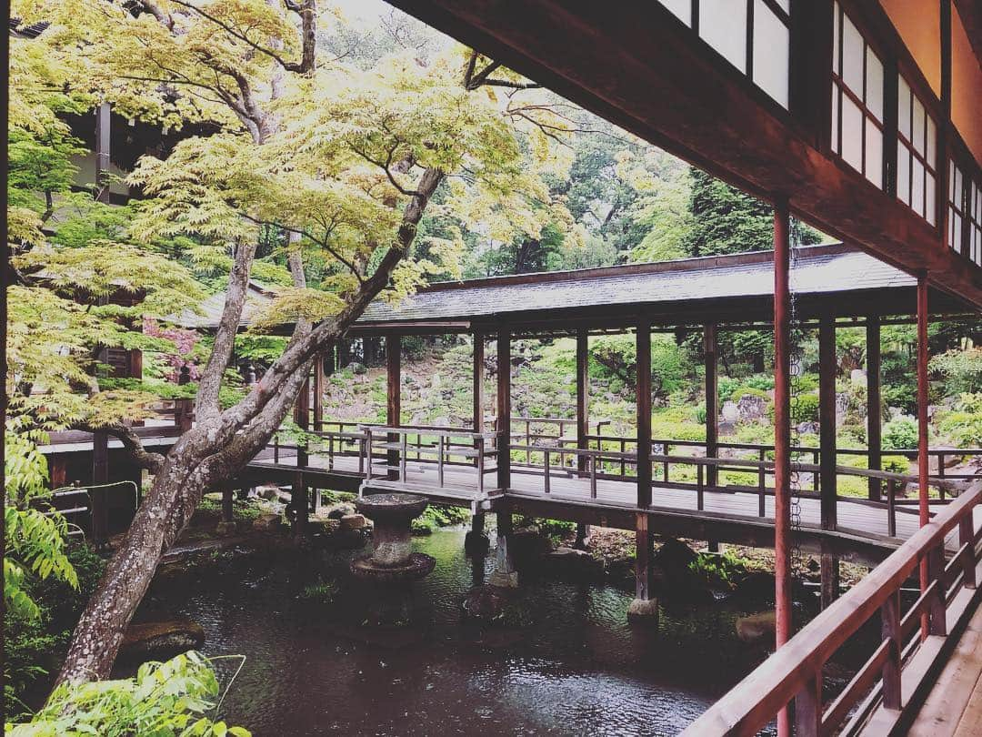 尾崎愛さんのインスタグラム写真 - (尾崎愛Instagram)「武田信玄公の菩提寺、恵林寺。扁額にある「雑華世界」(読み仮名 ざかせかい？諸説あり)、「この門より外は複雑世界、内は静寂の世界」といった意味だとか。 雨の庭園もなかなか風情がありました☔️ また御朱印帳を忘れ新たに購入😅 #恵林寺 #塩山 #山梨 #寺 #参拝 #お参り #武田信玄 #風林火山 #御朱印 #御朱印帳 #令和 #旅行 #観光 #庭園 #和 #japan #temple #trip #travel #yamanashi #photooftheday」5月5日 8時48分 - aiozaki0422