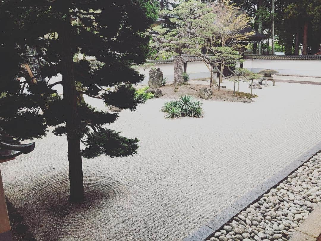 尾崎愛さんのインスタグラム写真 - (尾崎愛Instagram)「武田信玄公の菩提寺、恵林寺。扁額にある「雑華世界」(読み仮名 ざかせかい？諸説あり)、「この門より外は複雑世界、内は静寂の世界」といった意味だとか。 雨の庭園もなかなか風情がありました☔️ また御朱印帳を忘れ新たに購入😅 #恵林寺 #塩山 #山梨 #寺 #参拝 #お参り #武田信玄 #風林火山 #御朱印 #御朱印帳 #令和 #旅行 #観光 #庭園 #和 #japan #temple #trip #travel #yamanashi #photooftheday」5月5日 8時48分 - aiozaki0422