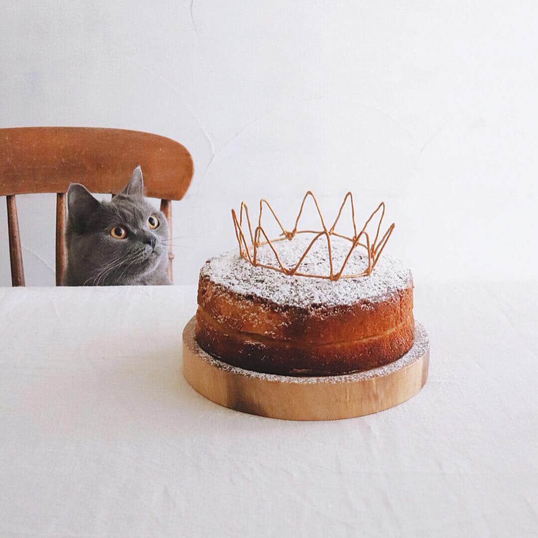 のインスタグラム：「Victoria sandwich . ビクトリアサンドイッチ、 令和＆子供の日のお祝い。 自家製マーマレード挟み、 針金で作った王冠のせて 気持ちだけ皇室の味わい。 . . #バビブベボナさん #ビクトリアサンドイッチ #ビクトリアスポンジケーキ #ヴィクトリアケーキ #猫とおやつ #おやつとボナさん #樋口ボナ#bonahiguchi #victoriasandwichcake #victoriasandwich #thebakefeed」