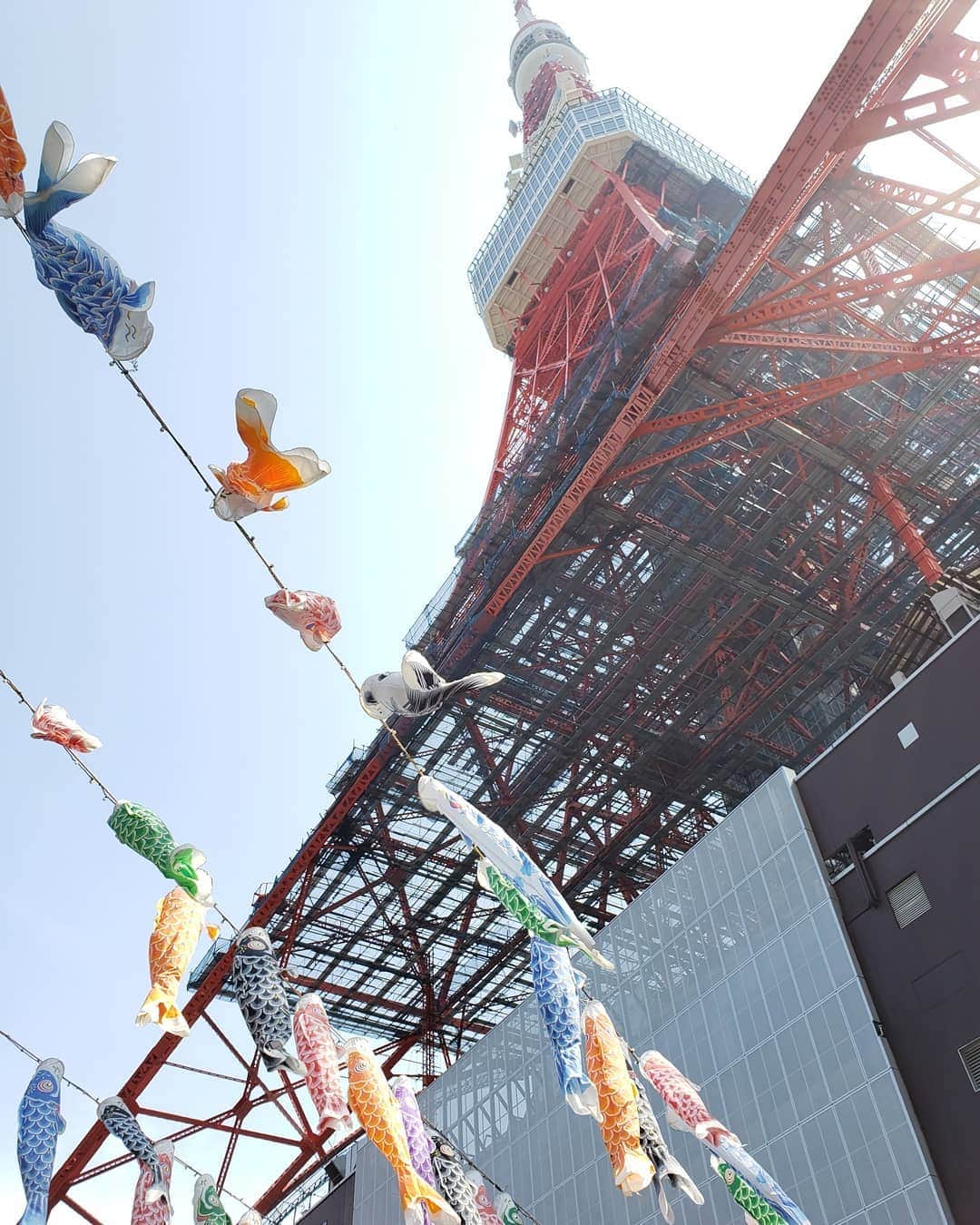 Galaxy Mobile Japanさんのインスタグラム写真 - (Galaxy Mobile JapanInstagram)「今日は #こどもの日 ということで、#鯉のぼり の画像をお届け🎏 #東京タワー の高さにちなんで、333匹泳いでいるんですよ♪カラフルでとっても綺麗です✨ （実は5月6日まで開催しているので、今日中に撮りに行けない！という方は明日滑り込みで🏃🏃🏃💨💨） 📸#GalaxyNote9 #Noteのある生活 #withGalaxy Photo by @wacamera」5月5日 9時00分 - samsungjpn