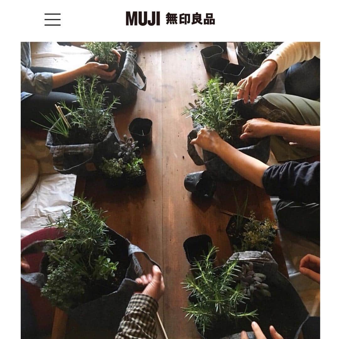 HERVA AKICOさんのインスタグラム写真 - (HERVA AKICOInstagram)「5/23(火) 無印良品 福岡天神大名店にて ハーブの寄せ植えワークショップを開催させて頂きます！  残席、残りわずかとなりますので、気になった方は是非。 詳細は写真にてご確認ください→  無印さんのHP、イベントページよりお申し込みできます。  こちらでは、エコポットの#ルーツポーチを使い、 ハーブの寄せ植えを簡単に作っていきます。 育て方や、もちろん食べてもらえるようにお話もします！(1.5h)  じっくり、しっかり、聞きたい方は、5/30(木)13時〜 久山 HERVA工房にて、 ハーブの寄せ植えレッスン(3hほど)も開催予定です。 お好みでお選びください。 こちらのお申し込み、問い合わせは、DMもしくはagf.herva@gmailまで。  #ハーブ#ハーブの寄せ植え#福岡#無印良品#大名店#久山#HERVA」5月5日 9時05分 - herva_akiko