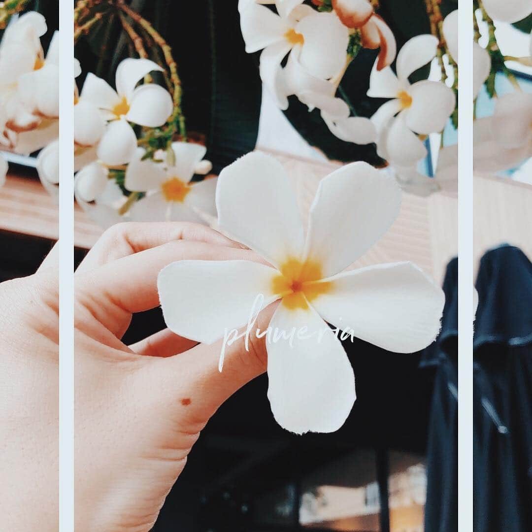佐野友妃子さんのインスタグラム写真 - (佐野友妃子Instagram)「𝑷𝑳𝑼𝑴𝑬𝑹𝑰𝑨🕊✨ 満月の夜明けに、まだ朝霧に包まれたままのプルメリアの花を集めてレイを作り、好きな人に渡すことができれば、その夢が叶う…  プルメリアにはこんな言い伝えがあるんだって🌼  ステキ🥺🥺🥺」5月5日 9時13分 - yukikosano1111
