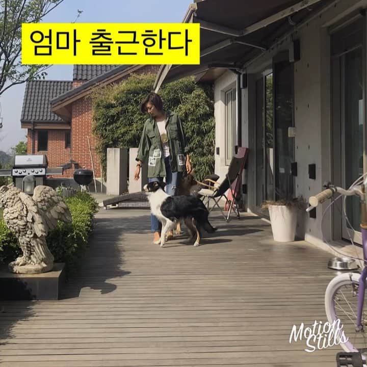 ピョン･ジョンスのインスタグラム