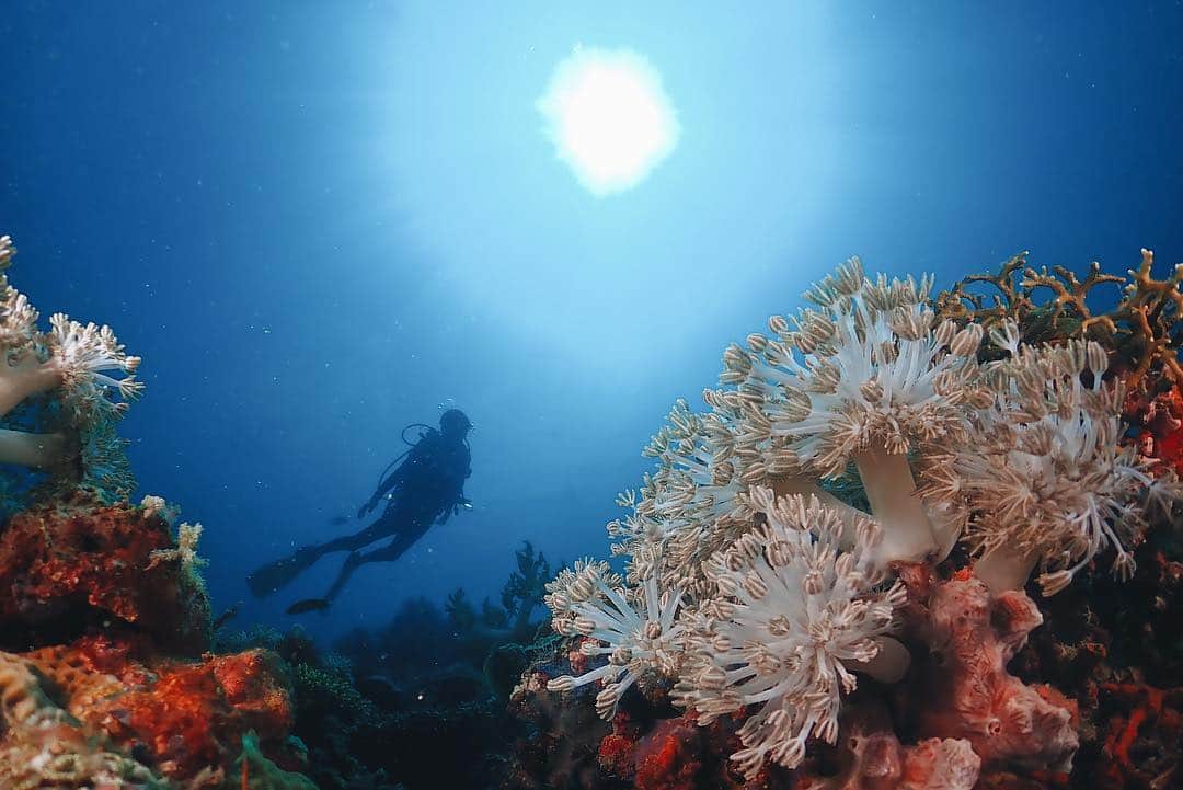 清水沙也佳のインスタグラム