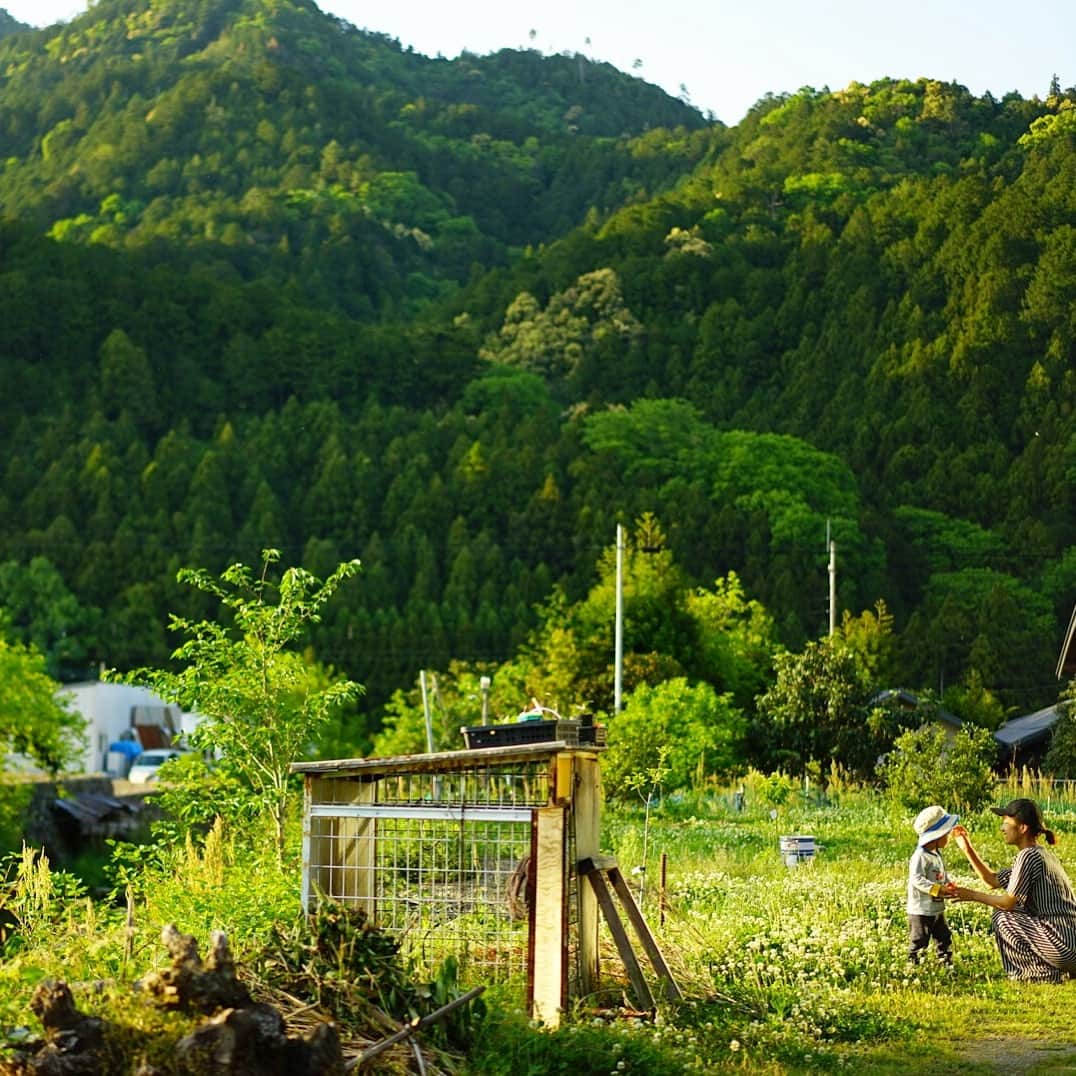 前田有紀さんのインスタグラム写真 - (前田有紀Instagram)「ずっと行きたかった徳島、はじめましての神山町。 雄大な自然を背負うように昔ながらの木造の建築が立ち並ぶ中に、並行してITベンチャーのオフィスが集っているという不思議な融合が進む町。 大自然の息吹を、新しい暮らし方を体験したい今回の旅。 ・ ・ #徳島旅行 #神山町 #家族旅行」5月5日 9時46分 - yukimaeda0117