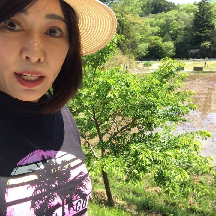 森まさこのグルメインスタ