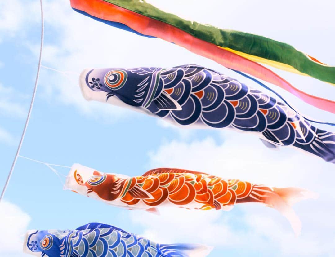 Netflix Japanさんのインスタグラム写真 - (Netflix JapanInstagram)「鯉のぼりの、正しい使い方...❓🎏 #こどもの日  #鯉のぼり #キイロイトリはどこでしょう #リラックマ #リラックマとカオルさん #ネトフリ」5月5日 10時04分 - netflixjp
