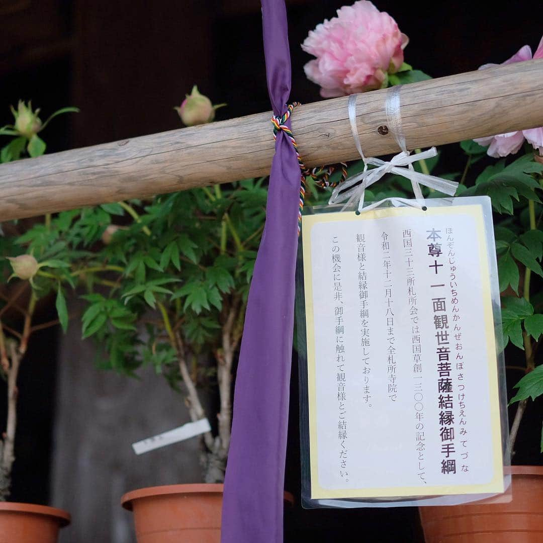 奈良 長谷寺 / nara hasederaさんのインスタグラム写真 - (奈良 長谷寺 / nara hasederaInstagram)「#重五 の今日から#夏 #青葉 かがやき風薫る  #Summer starts from today.  Soft sunbeams, pleasant winds, and green leaves are dazzling.  #長谷寺 #奈良長谷寺 #総本山長谷寺 #花の御寺 #奈良 #hasedera #hasederatemple #temple #japan #japanesetraditional #pilgrimage #nara #tourism #sightseeing #japanesetemple #西国 #西国三十三所 #霊場 #巡礼 #四寺巡礼 #やまとびとツアーズ #長谷寺が好き #わたしは奈良派 #うましうるわし奈良」5月5日 9時57分 - hase_dera