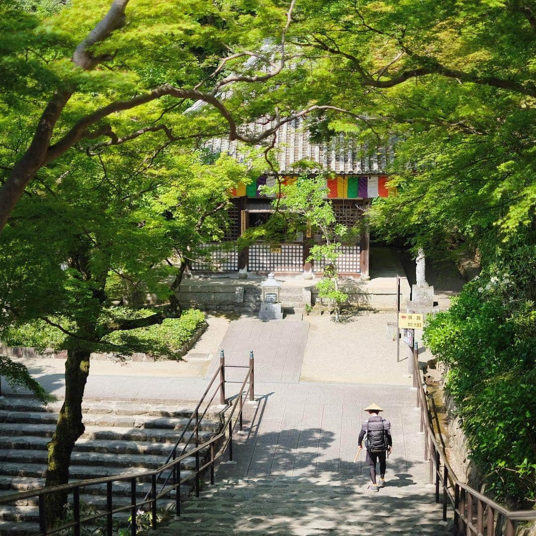 奈良 長谷寺 / nara hasederaさんのインスタグラム写真 - (奈良 長谷寺 / nara hasederaInstagram)「#重五 の今日から#夏 #青葉 かがやき風薫る  #Summer starts from today.  Soft sunbeams, pleasant winds, and green leaves are dazzling.  #長谷寺 #奈良長谷寺 #総本山長谷寺 #花の御寺 #奈良 #hasedera #hasederatemple #temple #japan #japanesetraditional #pilgrimage #nara #tourism #sightseeing #japanesetemple #西国 #西国三十三所 #霊場 #巡礼 #四寺巡礼 #やまとびとツアーズ #長谷寺が好き #わたしは奈良派 #うましうるわし奈良」5月5日 9時57分 - hase_dera