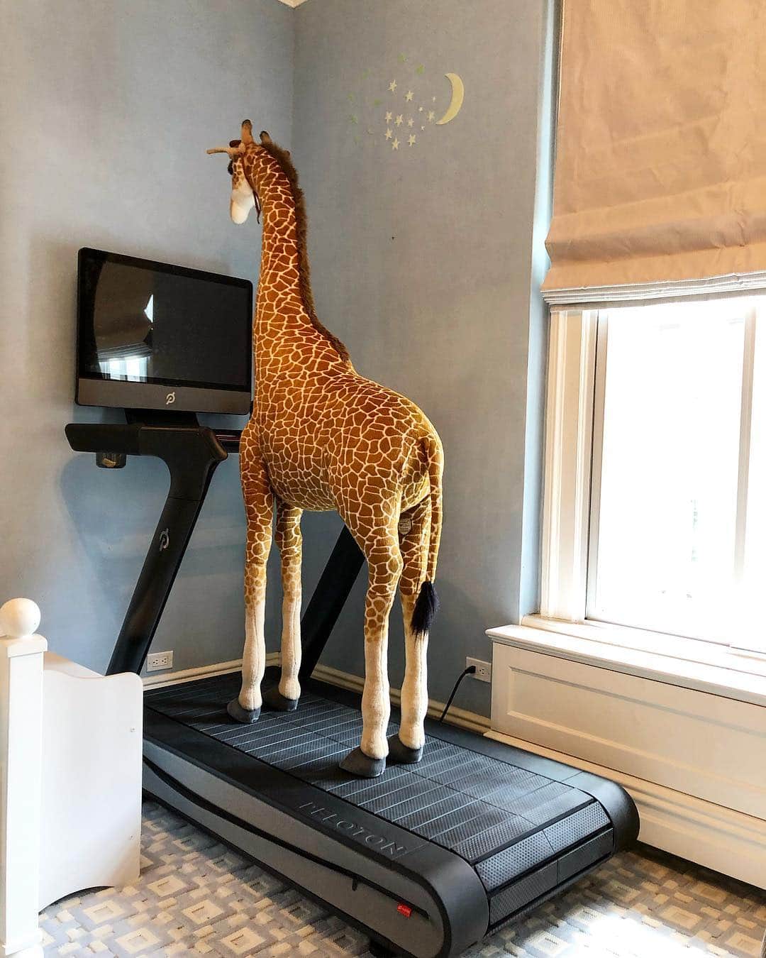 ニーナ・ガルシアさんのインスタグラム写真 - (ニーナ・ガルシアInstagram)「When you finally get your turn at the new @onepeloton treadmill and the giraffe is on it. 🤣🤣🦒 #inshapeforsummer ? #peloton」5月5日 2時45分 - ninagarcia