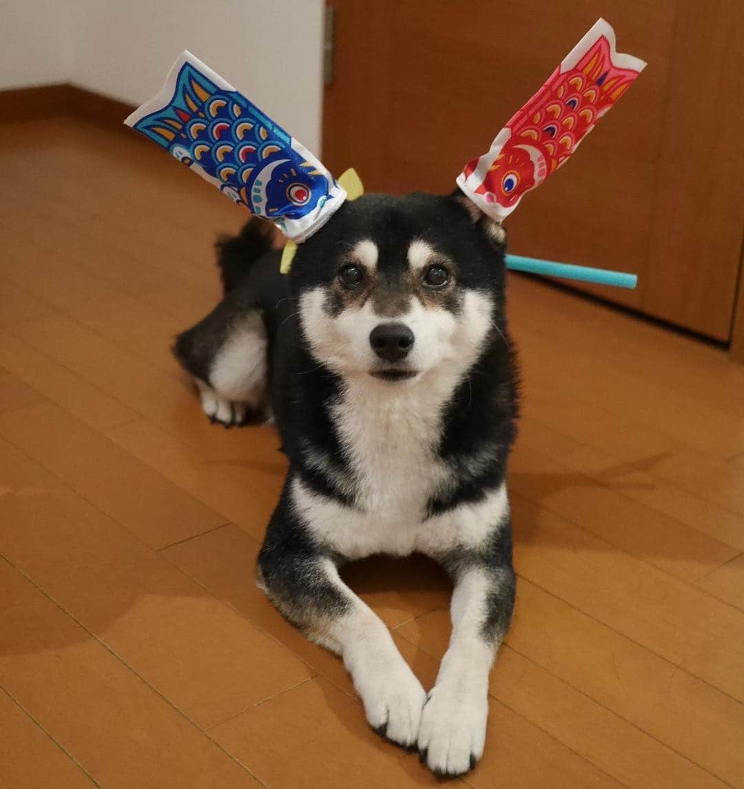 くろのインスタグラム