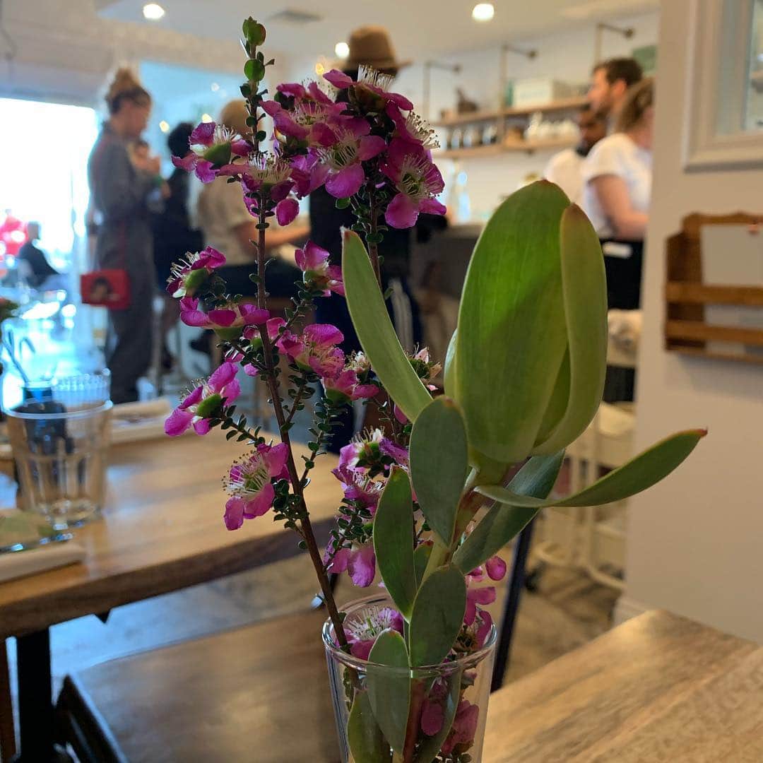 レイチェル・レフィブレのインスタグラム：「Another beautiful morning spent at my favorite neighborhood spot @loupiottekitchen 💡」