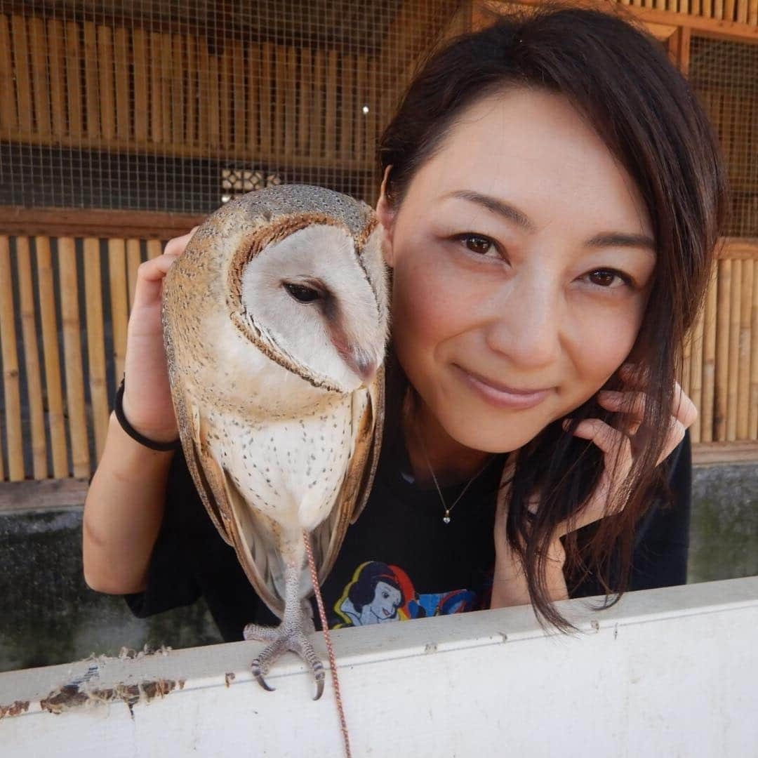 大湯みほさんのインスタグラム写真 - (大湯みほInstagram)「✨✨✨ ‪いつかの✨Photo✨🏖🦜🦉‬ ‪平成の思い出📷整理‬✨ ・ ‪ゴールデンウィークもまもなく終わり！✨ 思い残す事があったら… よし！！！ 明日あさって…でやろう( ✌︎'ω')✌︎私は部屋のお片づけが…まだ残ってます。笑‬ ・ ぬか床🍆も、次のイベント用に増やさないとな😊✨ ・ 同じ毎日は…二度とないから✨後悔しないように生きなくちゃね！！ ・ #ぬか漬け #ぬか漬けを世界に #japan #traditional #food #organic #healthy #pickles #vegetable #nukazuke #ぬか漬けマイスター #大湯みほ」5月5日 3時54分 - nukazukemiho0320