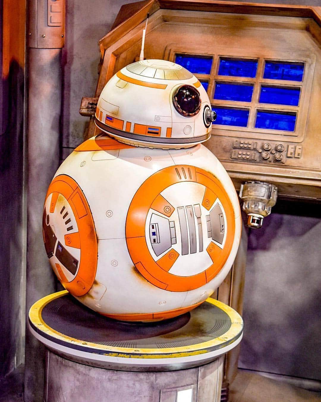 Walt Disney Worldのインスタグラム：「Rolling into May the 4th like... #MayThe4thBeWithYou #HollywoodStudios30 (📷:@solo___photographer)」