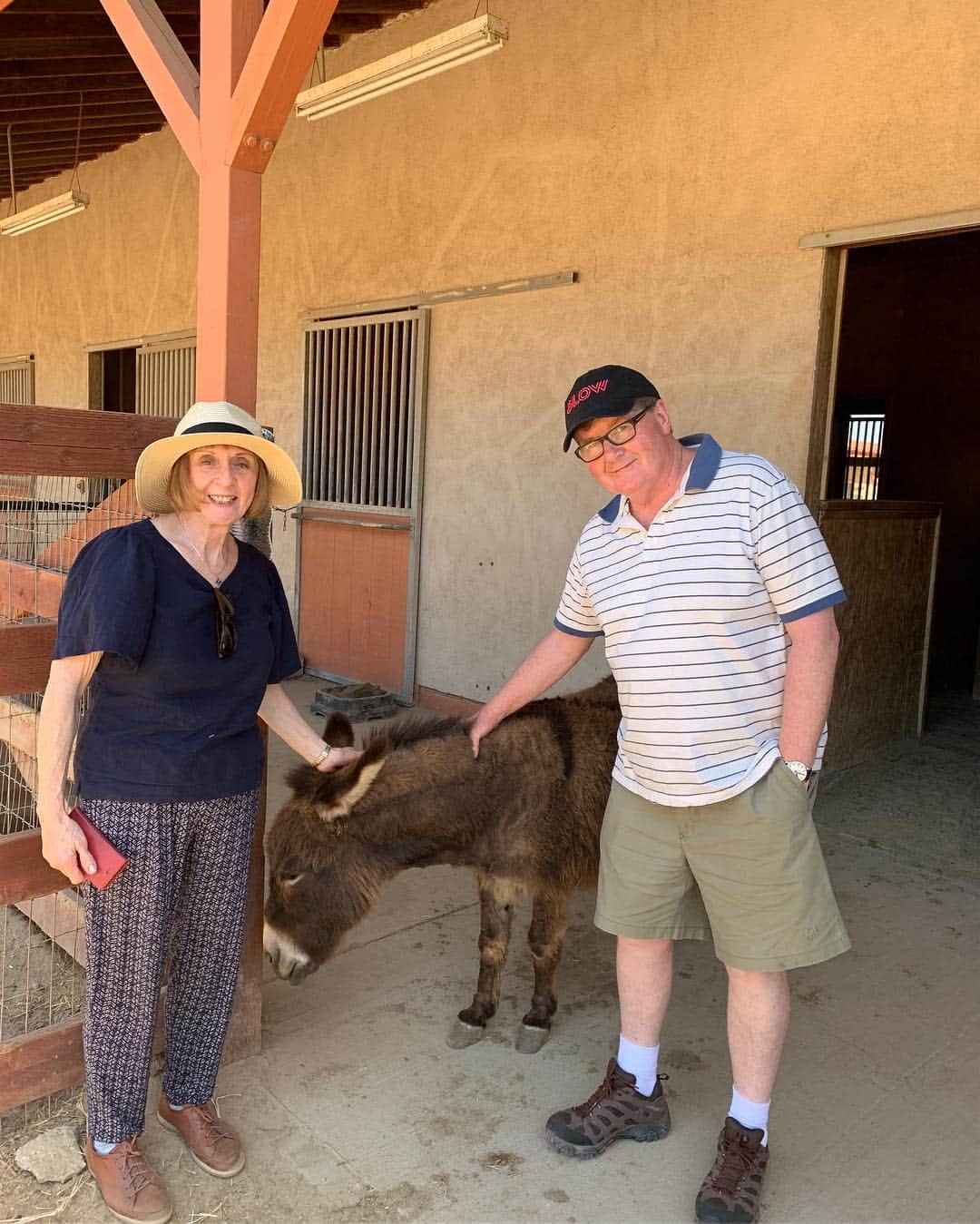 ケイト・ナッシュさんのインスタグラム写真 - (ケイト・ナッシュInstagram)「Thank you @farmsanctuary for the tour and information. I love this big fat pig!! 🐖 #govegan」5月5日 4時54分 - katenash