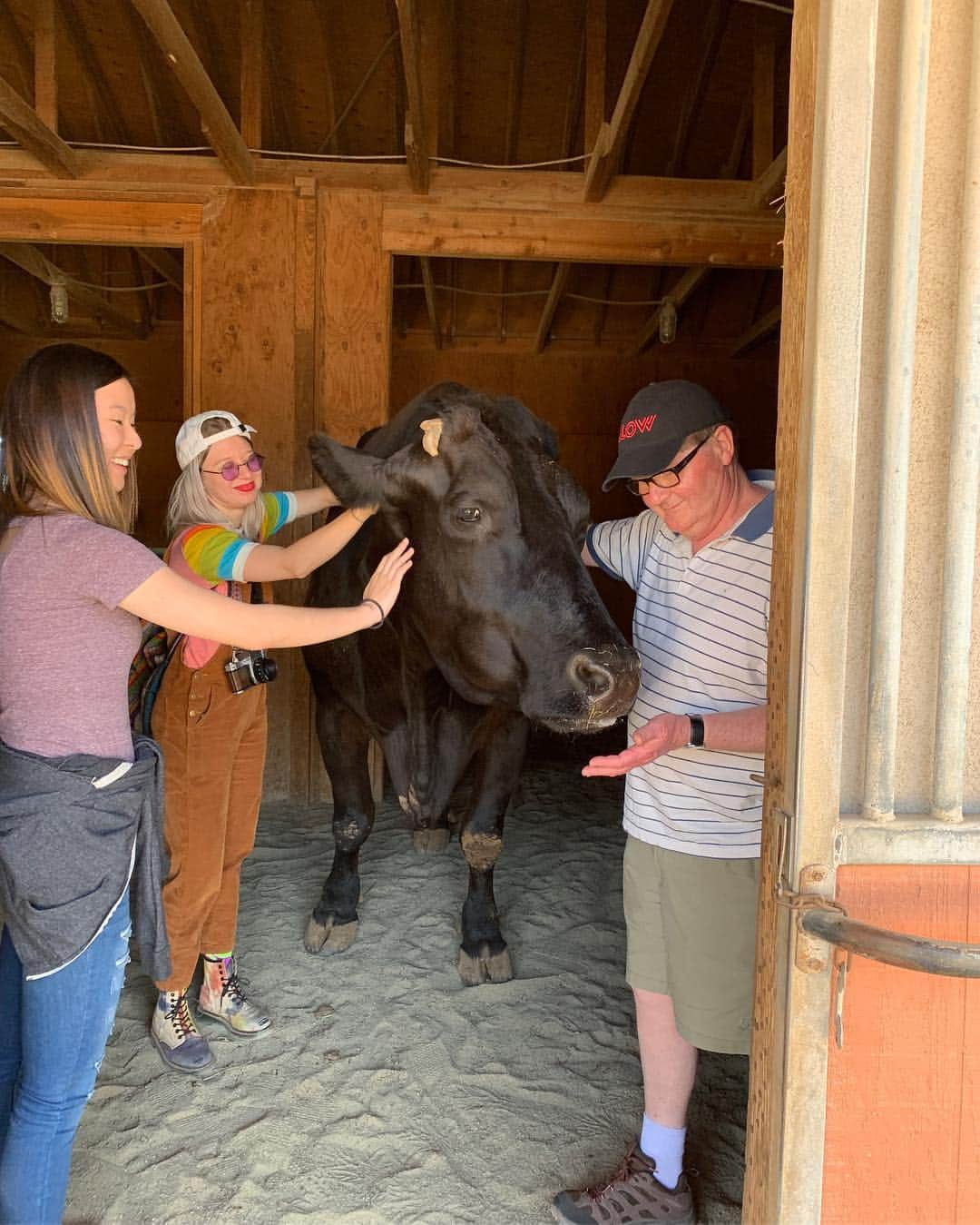 ケイト・ナッシュさんのインスタグラム写真 - (ケイト・ナッシュInstagram)「Thank you @farmsanctuary for the tour and information. I love this big fat pig!! 🐖 #govegan」5月5日 4時54分 - katenash