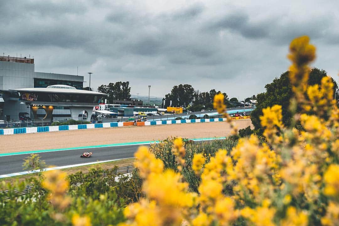 レプソル・ホンダさんのインスタグラム写真 - (レプソル・ホンダInstagram)「🌼🌻 Flower Power 🌻🌼 ⠀⠀⠀⠀⠀⠀⠀⠀⠀ #SpanishGP #25RepsolHonda #Repsol #MotoGP #Honda #Racing #RepsolHonda #HRC #RC213V #MM93 #JL99 #MarcMarquez #JorgeLorenzo #ThePowerOfDreams #Motorcycle #Spain #Flower #Yellow #FlowerPower」5月5日 4時57分 - hrc_motogp