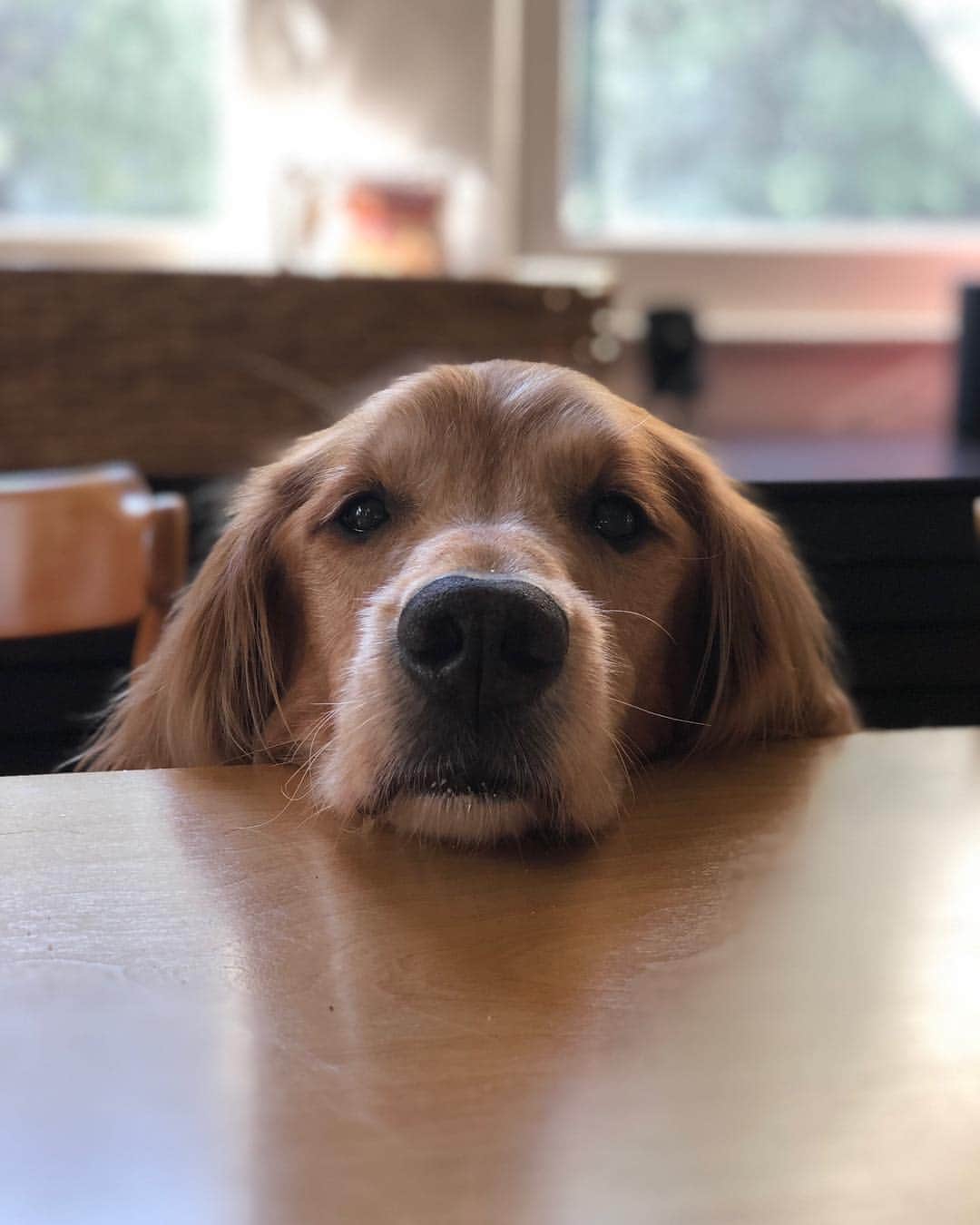 クリスティン・ウッズのインスタグラム：「Please Mom can share to me」