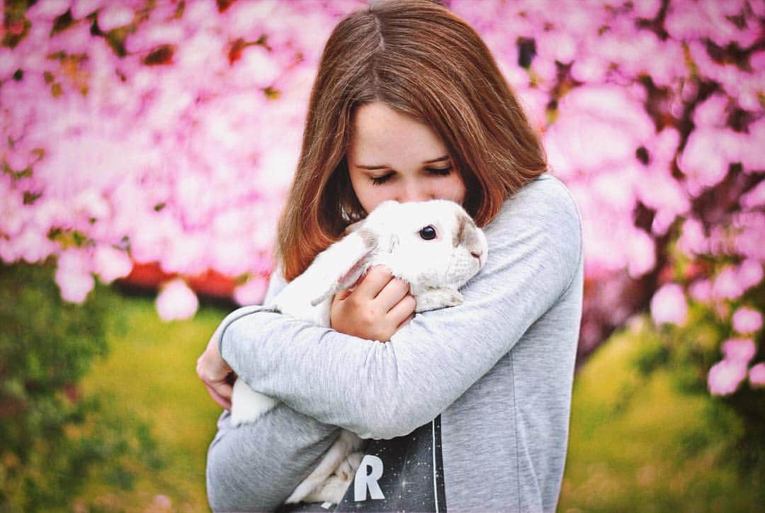 のインスタグラム：「We donated 321 US dollars to a Swedish bunny and rodent rescue today. That’s all thanks to you, our followers. A big thank you to every single one of you, even if you’ve followed us since I started this account of if you’re new here. Thank you for letting me educate about bunnies and thank you for letting me share my beautiful Exempel with you. And everyone who bought the socks I made this year, you helped us help homeless bunnies here in Sweden. You’re their heroes. Please know that, because without you I wouldn’t be able to donate that much money. I didn’t keep anything I got from the socks and I myself bought a few pairs so I could contribute as well. You’re the best! Thank you for still sticking with me on this account. Love, Moa and Exempel (& Nyko) ❤️」