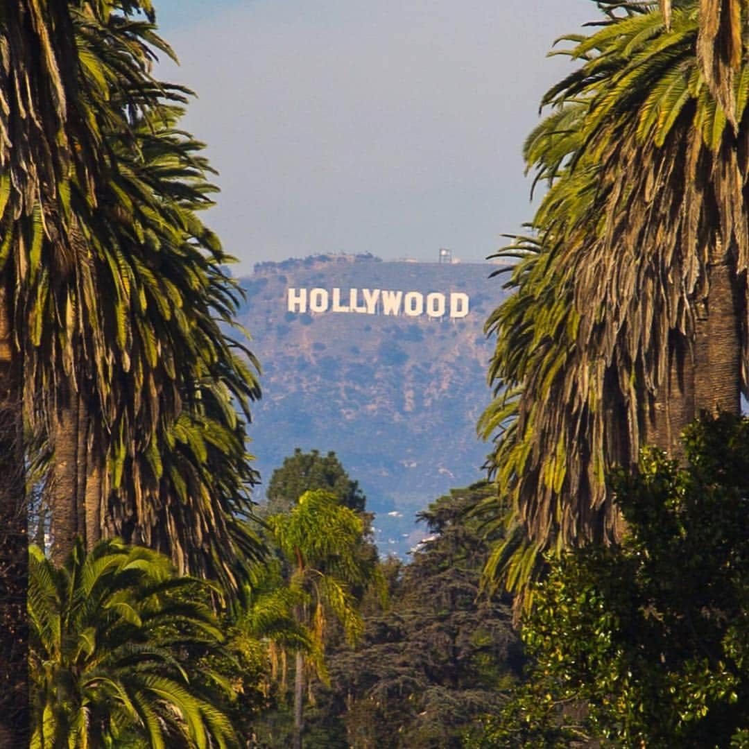 エルエーメイドさんのインスタグラム写真 - (エルエーメイドInstagram)「This view. 🙌🏻 @debodoes . #ilovela #lavibes #cityofangels #losangeles_city #discoverla #iamlamade #losangeles_la #lastyle #lafashion #losangelesfashion #thehappynow #adventure #exploretocreate #artofvisuals #wanderlust #stayandwander #letsgoplaces」5月5日 6時08分 - lamadeclothing