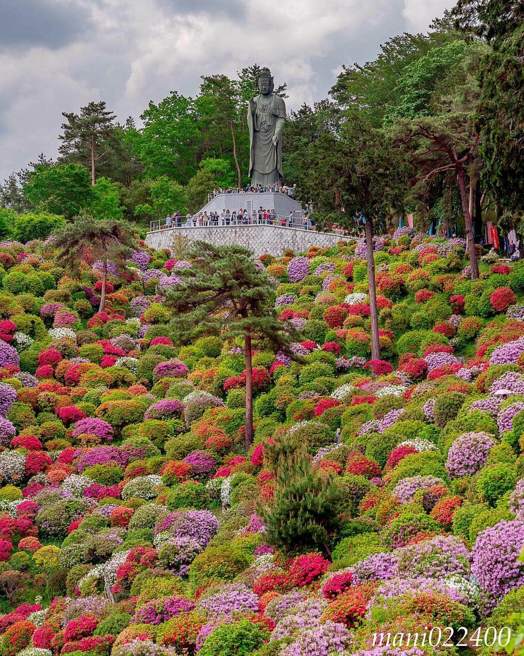 mani022400のグルメインスタ