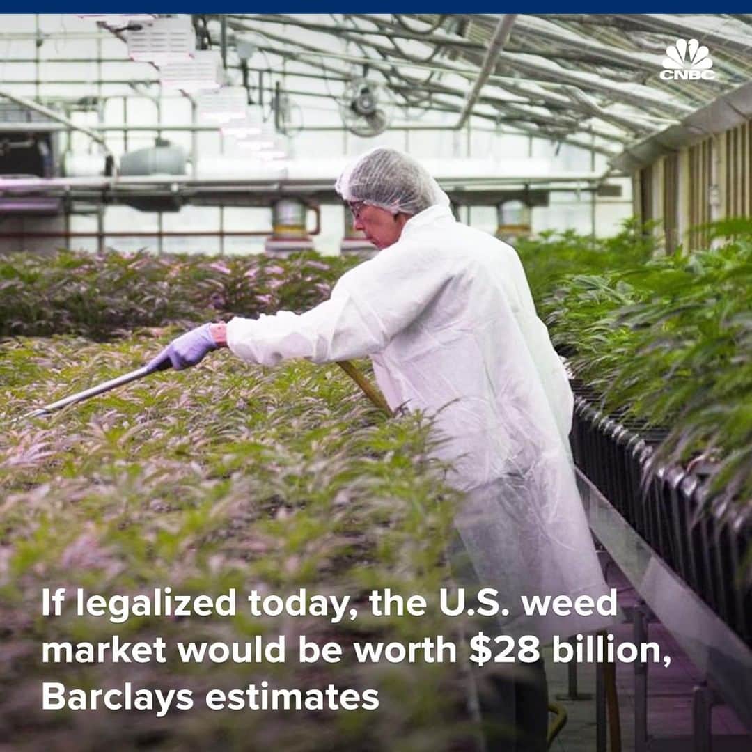 CNBCさんのインスタグラム写真 - (CNBCInstagram)「Marijuana would become a major sector overnight if legalized across the nation, with tens of billions of dollars in revenue for governments at all levels, Barclays said in a new report.⁣ ⁣ ▪️“We estimate that the total US cannabis market, if legalized today, could be worth $28 billion, increasing to $41 billion by 2028 on a pre-tax basis,” Barclays said.⁣ ⁣ ▪️At $41 billion, the cannabis market “could generate almost $28 billion of tax revenues across all levels of government” if taxed at the same level as tobacco, Barclays said. ⁣ ⁣ You can read more on the potential value of the U.S. weed market, at the link in bio. ⁣ ⁣ *⁣ *⁣ *⁣ *⁣ *⁣ *⁣ *⁣ *⁣ ⁣ #cannabis #420 #weed #cannabiscommunity #cannabisculture #cannabismarket #marijuana #industry #revenue #taxrevenue #legalize #business #businessnews #value #medicine #cnbc」5月5日 7時24分 - cnbc