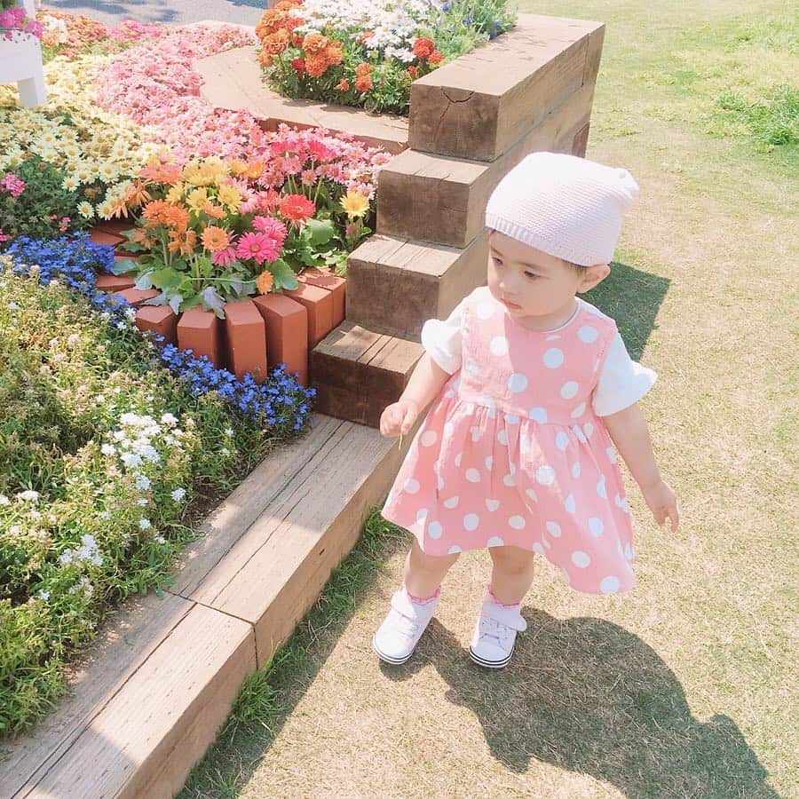 mariomi324のグルメインスタ