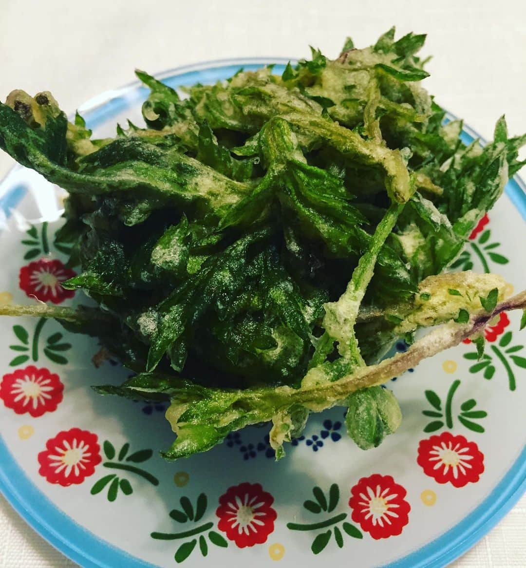 池辺愛さんのインスタグラム写真 - (池辺愛Instagram)「そこらへんの草をいっぱい食べました😋 義理の父が、長野の友人宅で摘んできたよ、とたくさんくれたのでどんどん天ぷらに✨ ほろ苦さがくせになる😉 反省点はもっと小さくして揚げればよかった！ひとつひとつが大きくて口の中でささりまくり😂  #ヨモギ #翔んで埼玉 風に言うと #そこらへんの草」5月5日 7時50分 - aiikebe