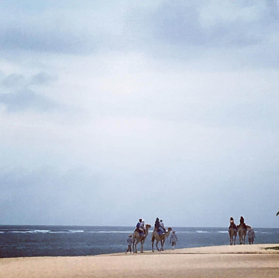 澤口麻理さんのインスタグラム写真 - (澤口麻理Instagram)「🐪🐪🐪🐪… #camel#indianocean#sea#indonesia#bali#🏖#🏝」5月5日 8時10分 - mari_sawaguchi