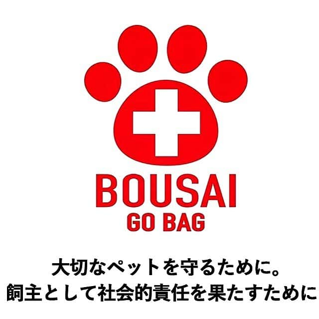 大原かおりさんのインスタグラム写真 - (大原かおりInstagram)「👯‍♀️🐶😸💞 Ottyブースでは、たかくら新産業さんのペットの防災アイテムセット 『BOUSAI GO BAG』を販売しています🐶🔍 そして今回は、たかくら新産業の千葉さんも販売応援に入ってくれました❣️ マルゴ&ミネットちゃんママとパチリ🙋‍♀️📸 ☺︎ 『BOUSAI GO BAG』は、災害が起きた時には買いに行けない大切なペットちゃん用の防災グッズ必須アイテムです💞 実際の被災地での調査をもとに、ペットや周りの方々が被災後の2～3日を快適に乗り切れるよう、機能性の高い備品が収納された『BOUSAI GO BAG』。 厳選された物がコンパクトに収納されている必須アイテムです。 (2枚目からの写真を参照ください♡) 大切なペットちゃんの為にも、1つお家に保管しておく事をオススメします🐶😸💖 ☺︎ 今日も10時〜17時まで幕張メッセでペット博が開催されてますのでお近く方はぜひ遊びに来てください〜😘🎀 ☺︎ 🐶Pet博2019・幕張🐶 5月3日(祝・金)～5月6日(日) 10:00〜17:00 幕張メッセ 国際展示場 11 千葉市美浜区中瀬2-1 http://pethaku.com/makuhari * #Otty #OttyDog #オッティ #幕張ペット博  #幕張メッセ #たかくら新産業 #BOUSAIGOBAG #防災セット #防災グッズ #ペットの防災グッズ #ペット同伴 #イベント #ペット博 #ゴールデンウィーク #ペットと一緒に #遊びに来てね #新作商品 #見に来てね #お待ちしてます #Pet博 #petstagram #dogstagram #🐶 #😻 #🐷 #❤️」5月5日 8時11分 - oharagaori_otty