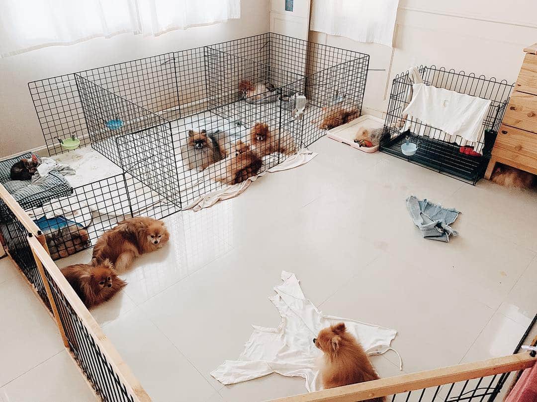 r_oseのインスタグラム：「My peaceful afternoon before the clock hit 5pm🖤〰️」