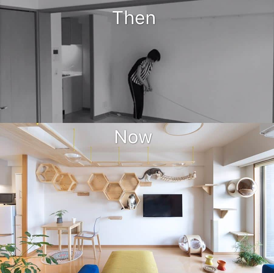 スノーさんのインスタグラム写真 - (スノーInstagram)「Our home renovation for cats then and now. • 昨年、デザイン事務所 @tasukake_2017 さんに#リフォーム をお願いした#ビフォーアフター です!! @tasukake_2017 さんのホームページに色々写真が掲載されることになりました♪ 今日のインスタストーリーからタッチして是非観てね！ • #キャットウォーク  #catsofinstagram #cats_of_instagram #catstagram #catofinstagram #instagood #cat #cats #kucing #gato #chat #catloversclub #catlover #9gag #weeklyfluff #pleasantcats #kedi #katze #kawaii #neko #instagramjapan #고양이 #кот #แมว #猫 #ふわもこ部 #ペコねこ部」5月5日 18時12分 - curlysnow0915