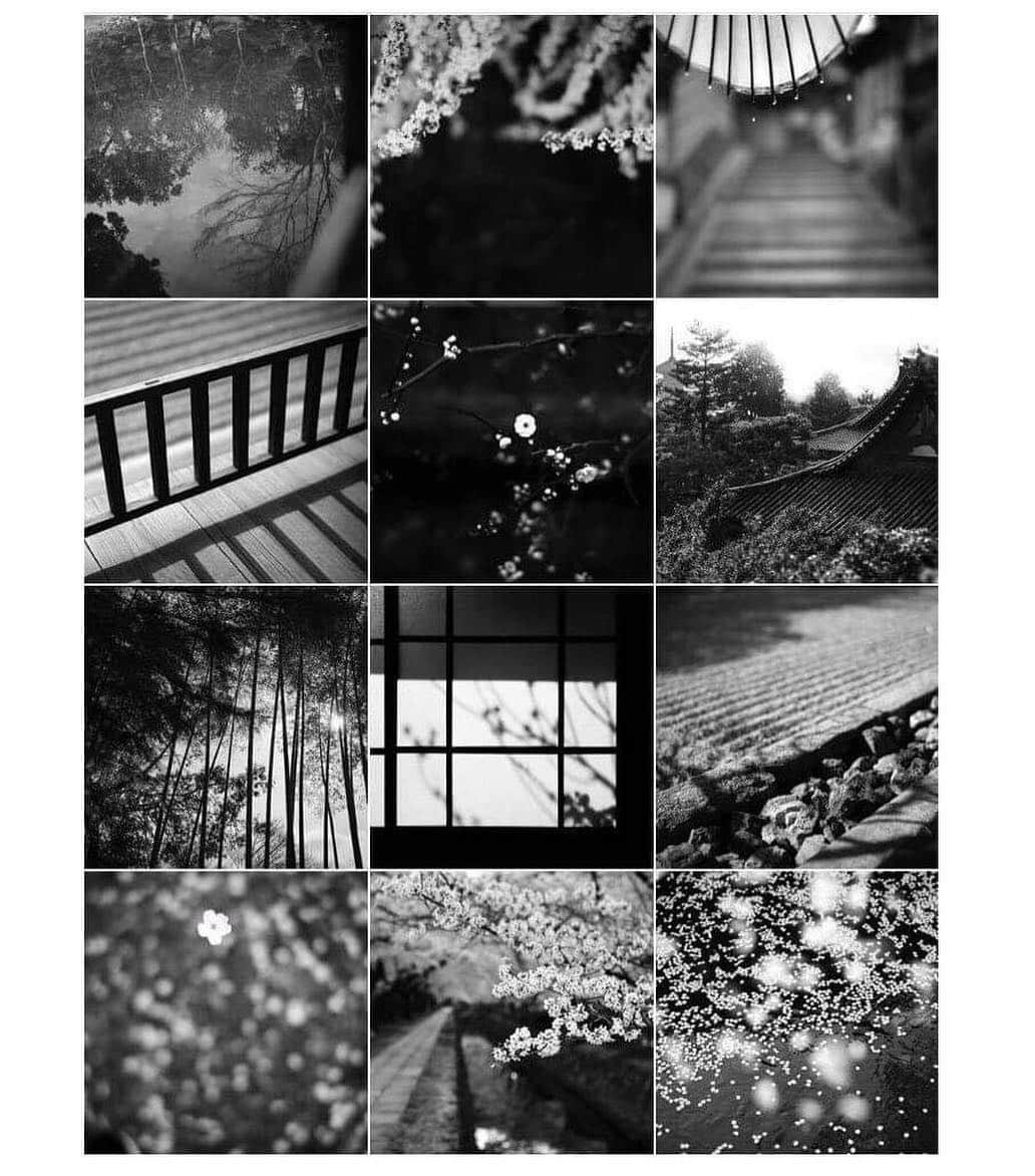 大杉隼平さんのインスタグラム写真 - (大杉隼平Instagram)「@parkhyattkyoto  是非フォローして写真を見て欲しいです。パークハイアット京都の撮影をさせて頂いています。オープンに向けて毎月京都を写します。  季節、そこにある光、雨の音、空気感、背景にあるもの。きちんと写していきたいと思います。  写真はPark Hyatt Kyotoのインスタグラムのページです。  全ての写真ではありませんがこれからも撮影した写真が使われていきます。  #parkhyatt #パークハイアット #parkhyattkyoto #パークハイアット京都 #写真 #photography #bw #モノクローム #京都 #kyoto #ライカ #leica #大杉隼平 #shumpeiohsugi」5月5日 18時24分 - shumpeiohsugi_photographer