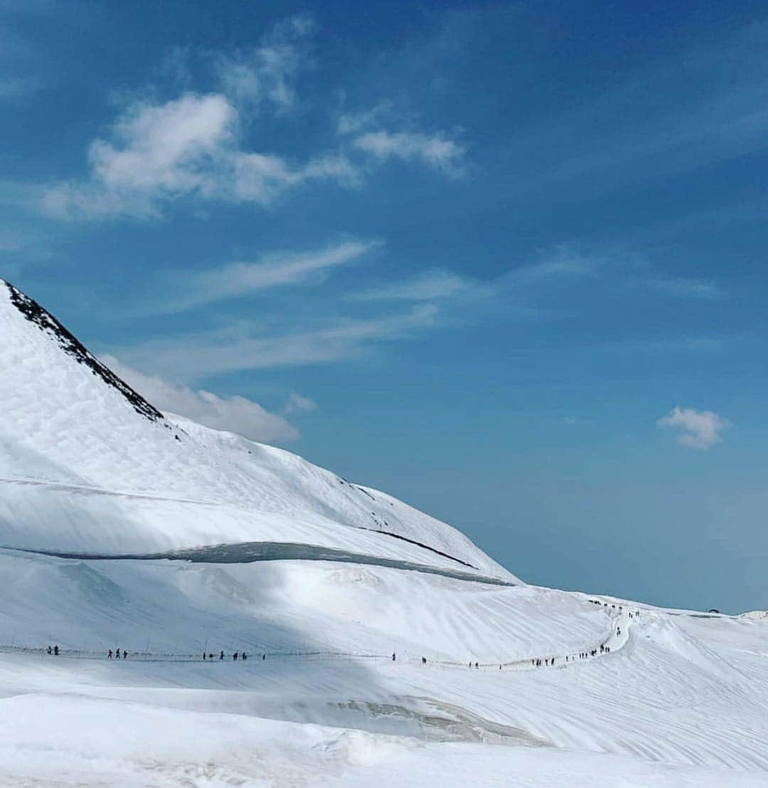 楊原京子さんのインスタグラム写真 - (楊原京子Instagram)「富山、立山連峰にて拝めた、息をのむほど雄大な風景と、最後の動画は嬉しいタイミングで偶然出くわした熊の子供🐻🐻💕 ・  #ハロ #この星は美しい #富山 #立山連峰  #標高 #2390m #立山 #野生 #熊 #環水平アーク #toyama #tateyama #montaña」5月5日 18時25分 - kyoko.yanagihara