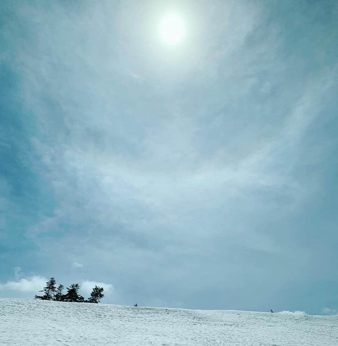 楊原京子さんのインスタグラム写真 - (楊原京子Instagram)「富山、立山連峰にて拝めた、息をのむほど雄大な風景と、最後の動画は嬉しいタイミングで偶然出くわした熊の子供🐻🐻💕 ・  #ハロ #この星は美しい #富山 #立山連峰  #標高 #2390m #立山 #野生 #熊 #環水平アーク #toyama #tateyama #montaña」5月5日 18時25分 - kyoko.yanagihara