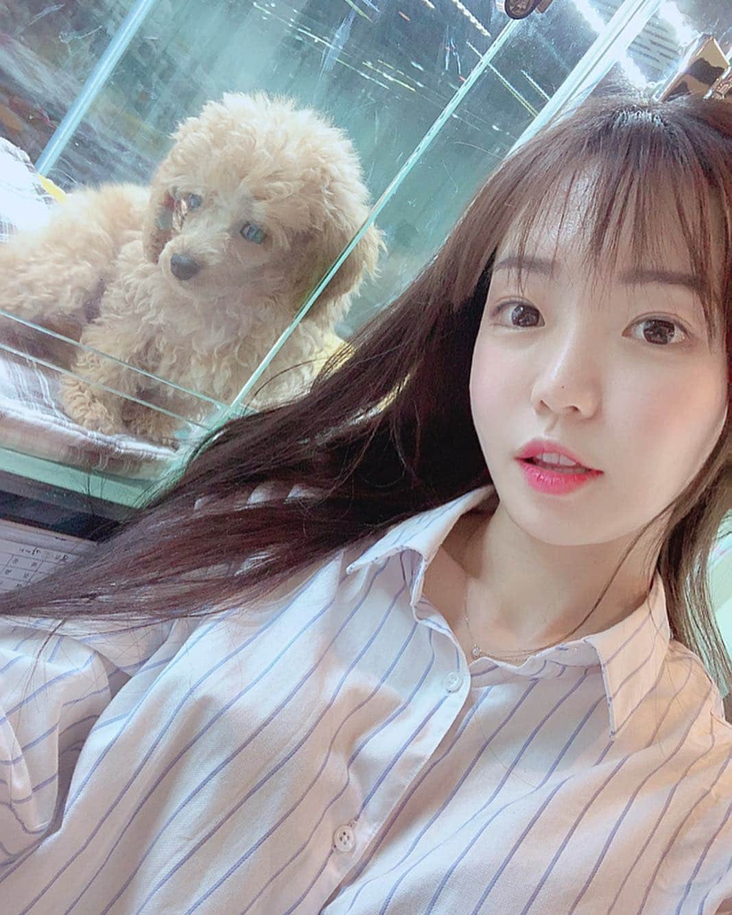 ウンソルさんのインスタグラム写真 - (ウンソルInstagram)「이쁜 아가들🐶💕 #묘한강아지」5月5日 18時43分 - taylanofficialx