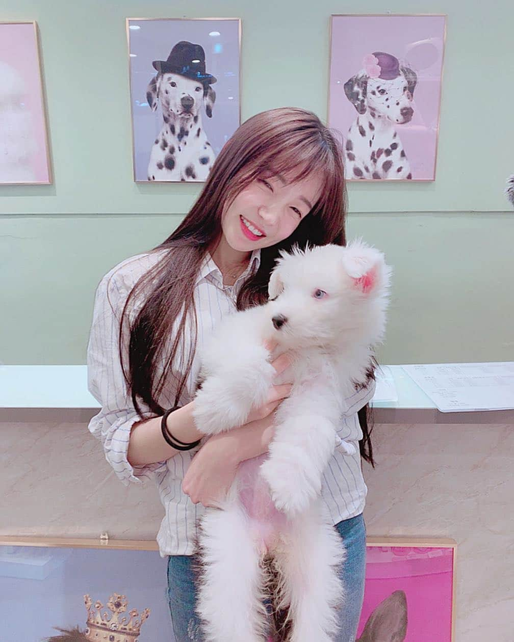 ウンソルさんのインスタグラム写真 - (ウンソルInstagram)「이쁜 아가들🐶💕 #묘한강아지」5月5日 18時43分 - taylanofficialx