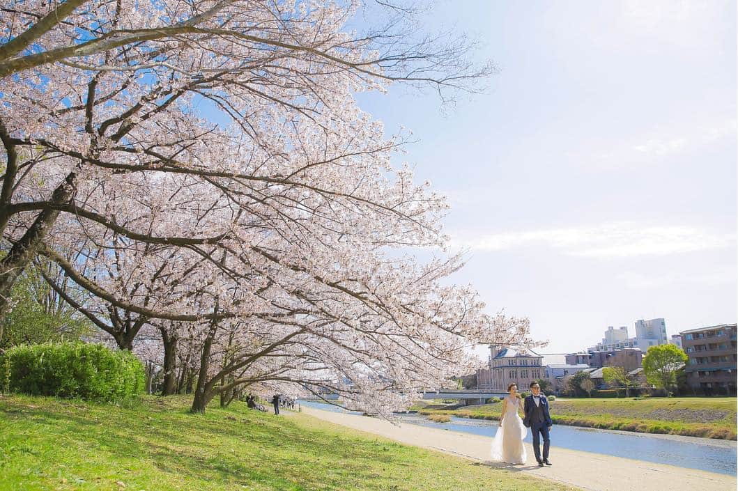 Decollte Wedding Photographyさんのインスタグラム写真 - (Decollte Wedding PhotographyInstagram)「[鴨川Kamogawa river, 京都 Kyoto] ・ Photo by @yoshikimaruo ・ @studiotvbkyoto  @decollte_weddingphoto  @decollte_weddingstyle ・ ・ #overseasprewedding #japan #kyoto #sakura #prewedding #weddinginspiration #weddingphotography  #romantic #kimono #weddingdress #happiness #love #日本 #京都 #婚紗攝影 #海外婚紗 #櫻花 #花嫁 #婚紗 #唯美 #日式 #웨딩 #웨딩사진」5月5日 18時46分 - d_weddingphoto_jp