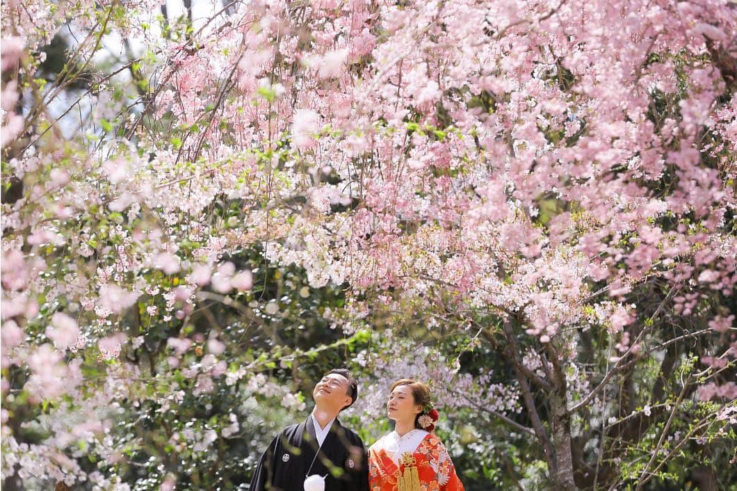 Decollte Wedding Photographyさんのインスタグラム写真 - (Decollte Wedding PhotographyInstagram)「[鴨川Kamogawa river, 京都 Kyoto] ・ Photo by @yoshikimaruo ・ @studiotvbkyoto  @decollte_weddingphoto  @decollte_weddingstyle ・ ・ #overseasprewedding #japan #kyoto #sakura #prewedding #weddinginspiration #weddingphotography  #romantic #kimono #weddingdress #happiness #love #日本 #京都 #婚紗攝影 #海外婚紗 #櫻花 #花嫁 #婚紗 #唯美 #日式 #웨딩 #웨딩사진」5月5日 18時46分 - d_weddingphoto_jp