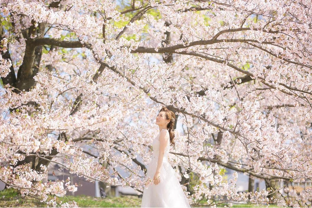 Decollte Wedding Photographyのインスタグラム