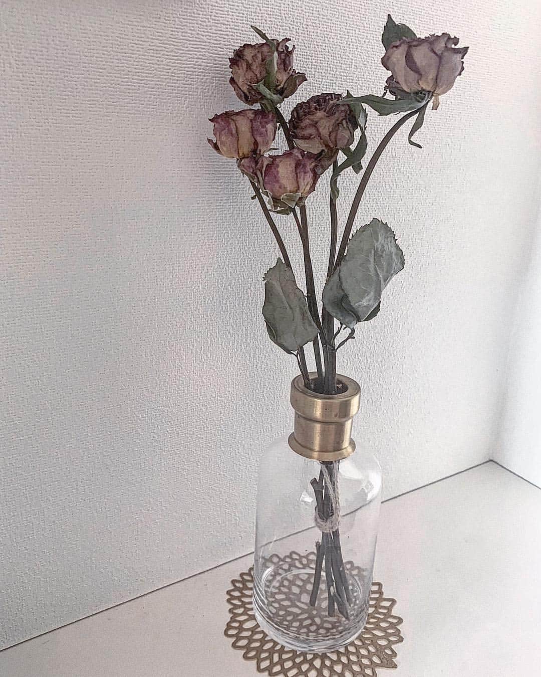 氏家夏乃さんのインスタグラム写真 - (氏家夏乃Instagram)「𝒗𝒂𝒔𝒆🥀 . . 昨日買ってもらった 花瓶がとてもよい雰囲気 . . . 天井に吊るしてた 薔薇を挿してみた🤤✴︎ . . . . _________________________________ . #slowhouse  #花瓶 #ドライフラワー  #ローズ #薔薇」5月5日 19時02分 - natsuno_ujiie